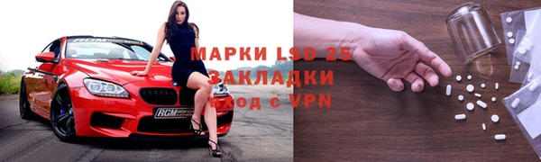 прущие грибы Киреевск