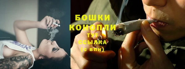 винт Инсар