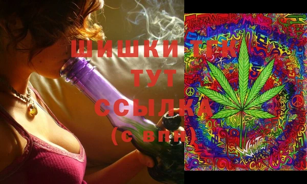 винт Инсар