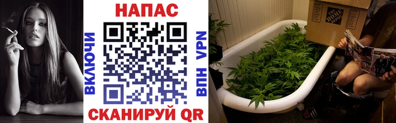 Купить закладки  Жуковка  Бошки Шишки THC 21% 
